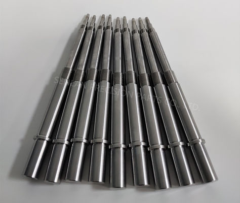 پیچ سر قارچ و مجموعه های هسته ای رشته دار